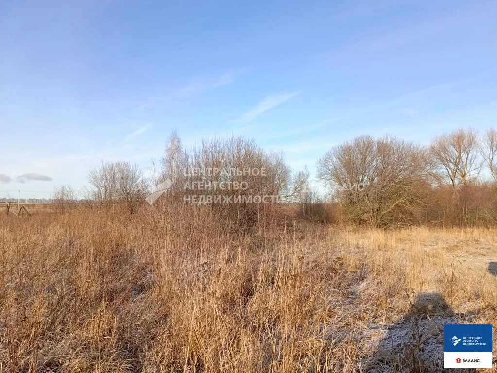 Продажа участка, Житово, Рыбновский район - Фото 5