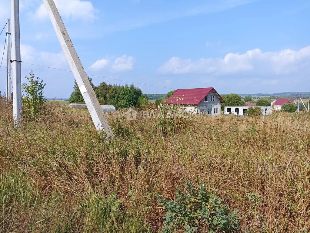 Собинский район, деревня Добрынино, земля на продажу - Фото 8