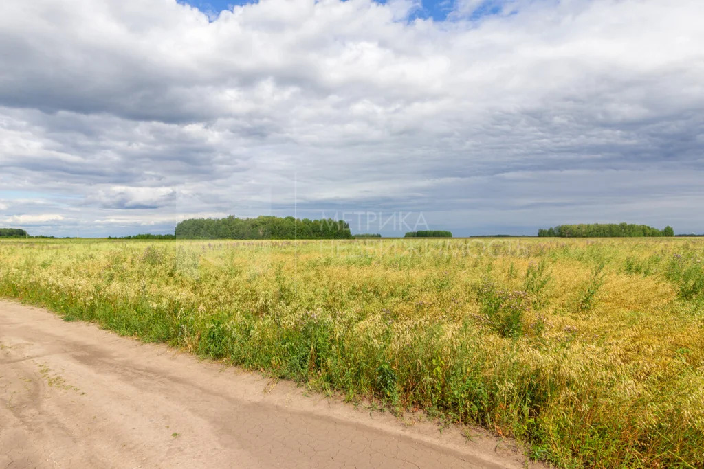 Продажа земельного участка, Тюменский район, Тюменский р-н - Фото 12