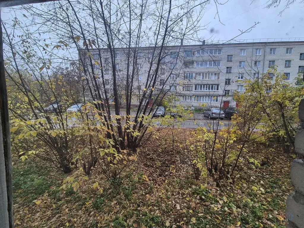 1-к. квартира, 29 м2, 1/5 эт. - Фото 7