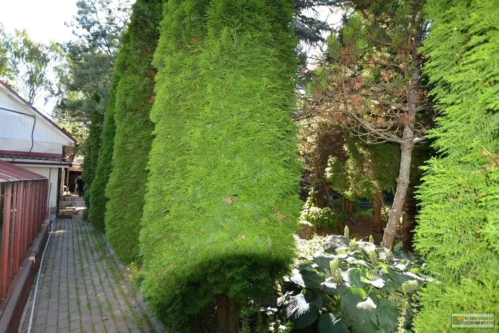 3-х этажный дом в д.Бражниково Волоколамского г.о 120 км от МКАД - Фото 21