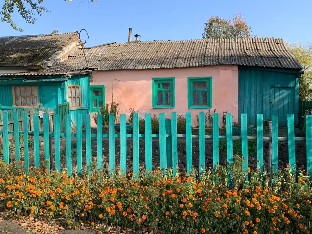 Погода яблонево каменского. Яблонево Рязанская область. Яблонево Кораблинский район. Троица Кораблинский район. Продается дом село Яблона.