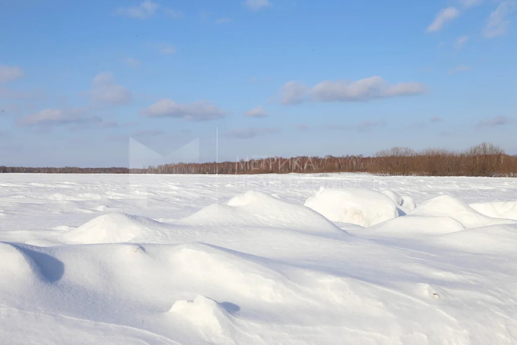 Продажа земельного участка, Червишево, Тюменский район, Тюменский р-н - Фото 8