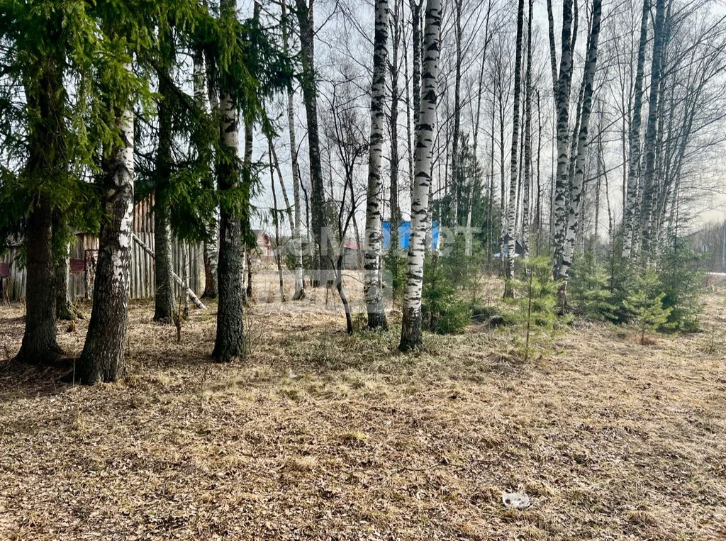 Продажа участка, Талдом, Талдомский район - Фото 7