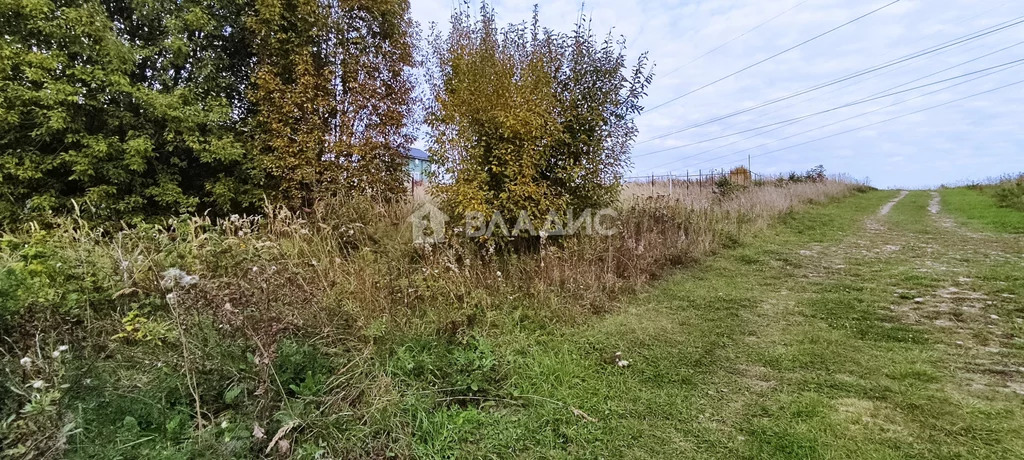 Суздальский район, деревня Загорье, Багриновская улица, земля на . - Фото 12