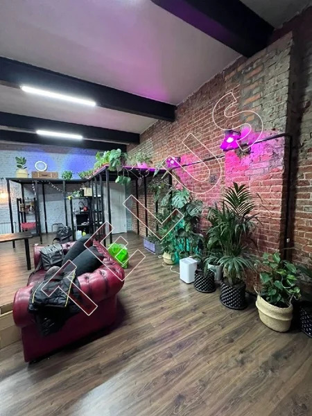 м. Семеновская, ул. Вольная, 1540 м2, Здание (ном. объекта: 6626) - Фото 5