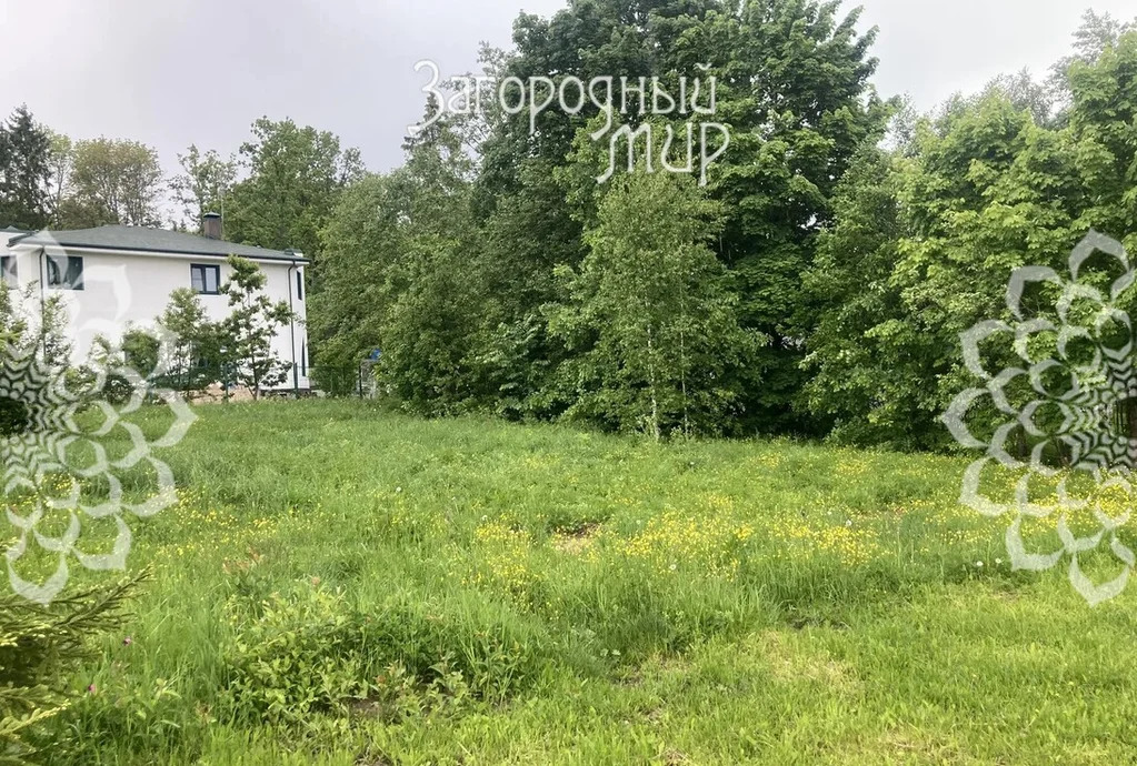 Продам участок, Ярославское шоссе, 38 км от МКАД - Фото 3
