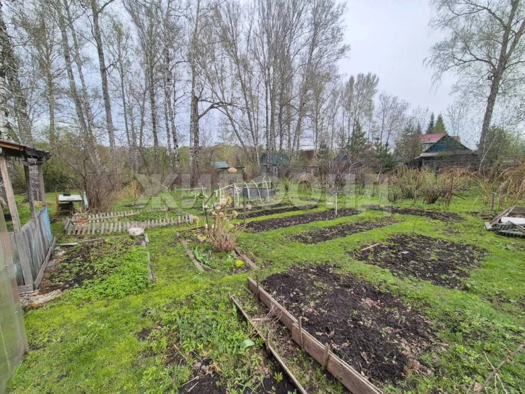 Продажа дома, Новосибирск, снт Заря - Фото 3