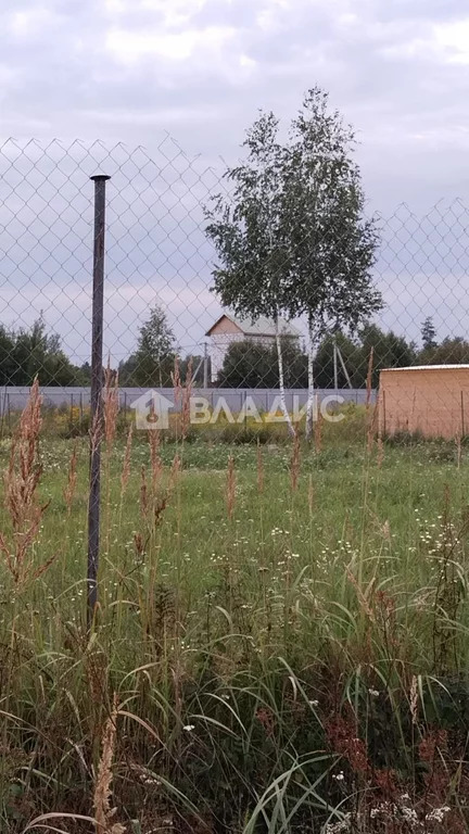 Земельный участок на продажу, Павлово-Посадский городской округ, . - Фото 7