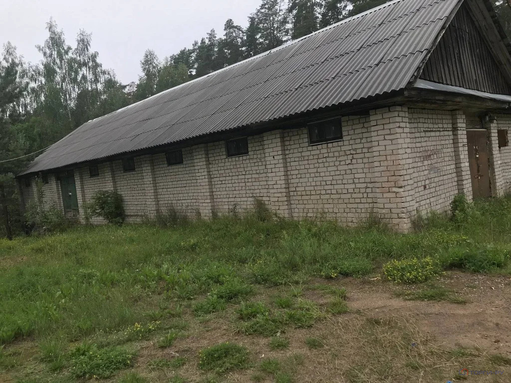 Продажа ПСН, Серебряники, Вышневолоцкий район - Фото 13
