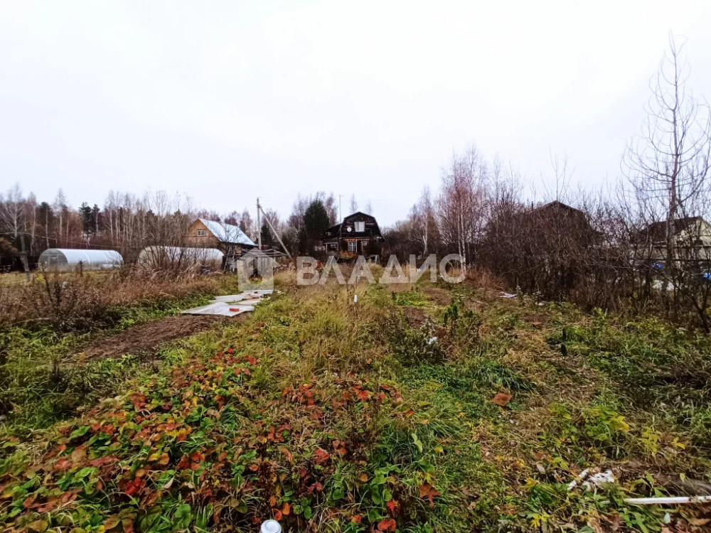 Городской округ Владимир, деревня Злобино, Октябрьский район, земля . - Фото 1