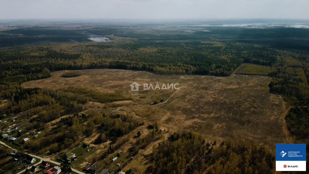 Продажа участка, Фролово, Клепиковский район - Фото 6