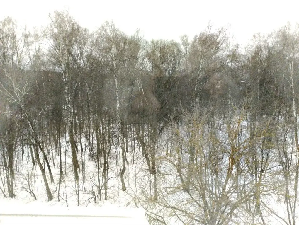 2-к. апартаменты, 70 м, 5/5 эт. - Фото 8