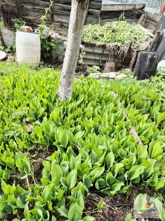 Продажа дома, Казань, тер. СДТ Смородинка - Фото 16