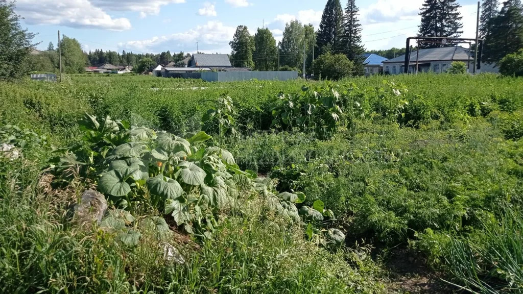 Продажа дома, Трошково, Тугулымский район, Тугулымский р-н - Фото 19