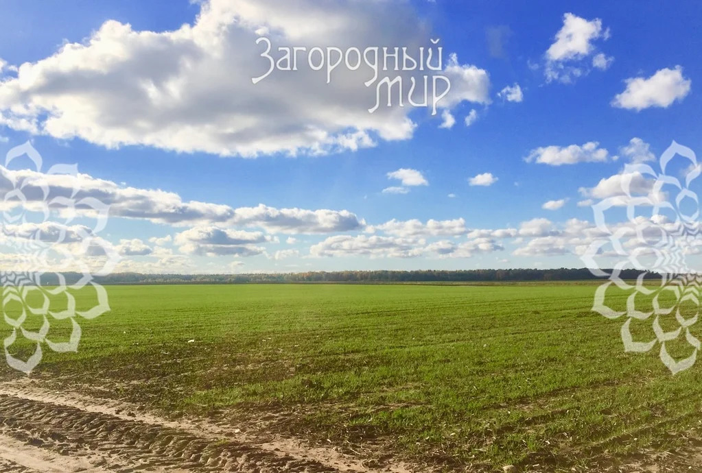 Продам участок, Дмитровское шоссе, 190 км от МКАД - Фото 1