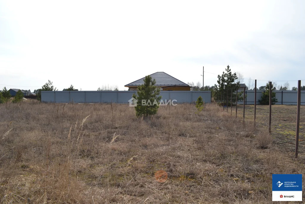 Продажа участка, Дубровичи, Рязанский район, Березовая улица - Фото 4