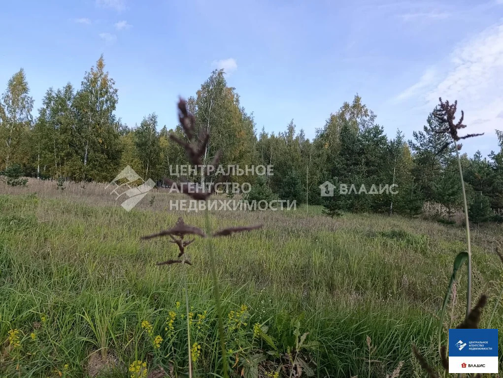 Продажа участка, Рязанский район, садоводческое товарищество ... - Фото 19