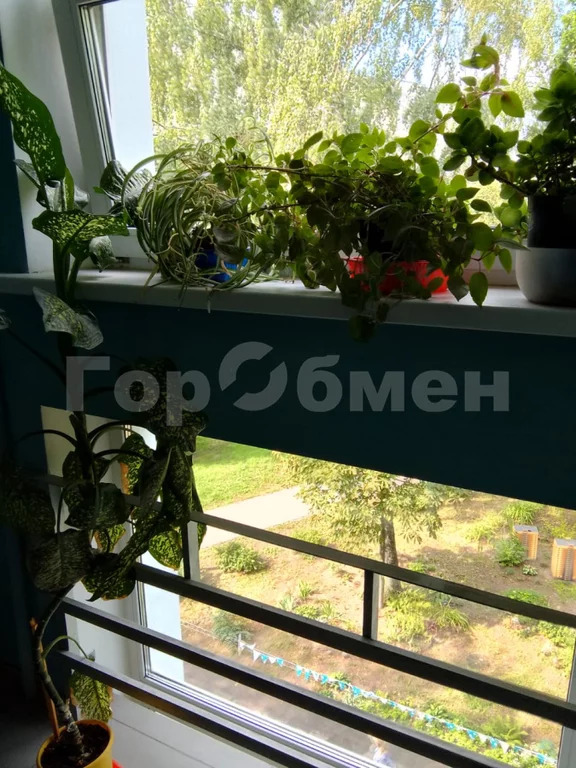 Продажа квартиры, Раменское, Раменский район, улица Михалевича, 14 - Фото 3