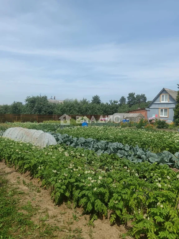 Суздальский район, СНТ Политехник,  дом на продажу - Фото 11