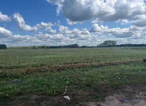 Продажа участка, Симбухово, Мокшанский район, ул. Школьная - Фото 14
