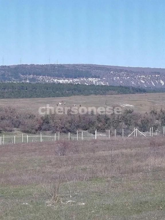 Продажа участка, Севастополь, территория КСП Память Ленина - Фото 3