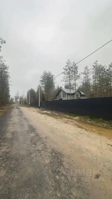 Лесные участки в Истринском районе! - Фото 3