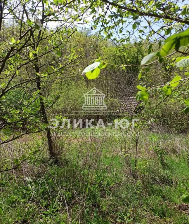 Продажа участка, Пляхо, Туапсинский район, ул. Лесная - Фото 5