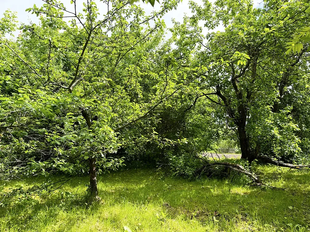 Дом в селе Починки - Фото 9