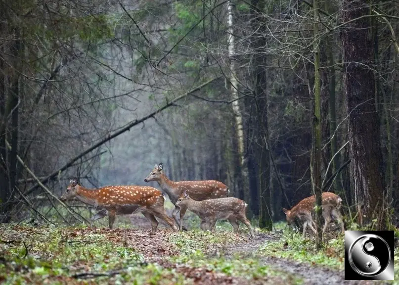 2-к. квартира, 60 м, 3/12 эт.Moсква, Яpocлавское шоcсe, 8к2 С - Фото 13