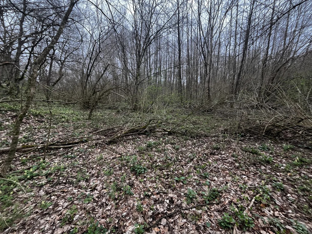 Продажа участка, Ставропольская, Северский район - Фото 5