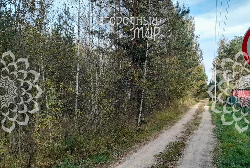 Продам участок, Дмитровское шоссе, 85 км от МКАД - Фото 2