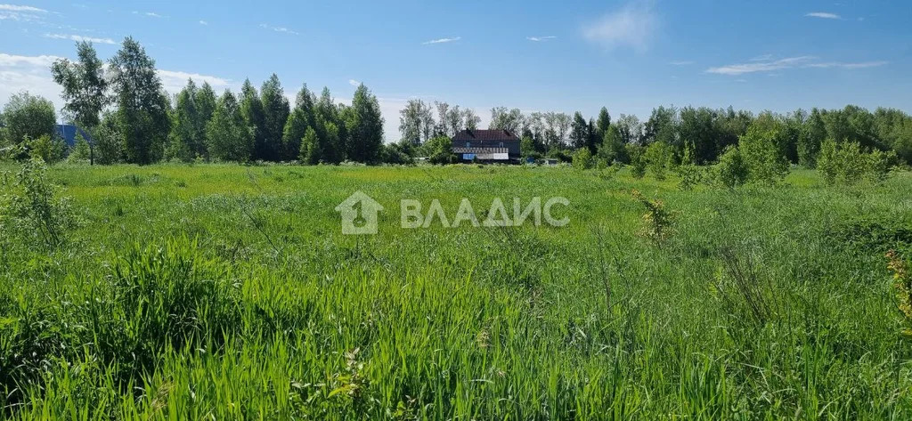 Городской округ нижний новгород, деревня новопавловка, земля на . - Фото 1