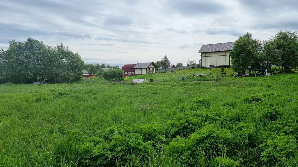 Участок В Нижних Осельках Купить