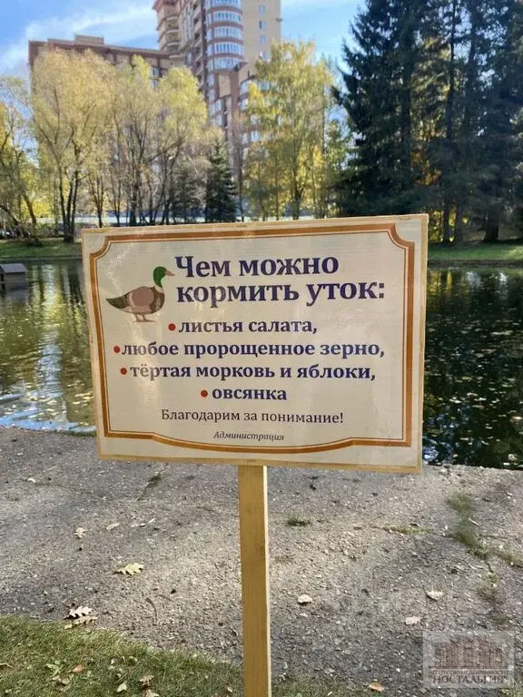 Сдам однокомнатную квартиру 62.0м - Фото 2