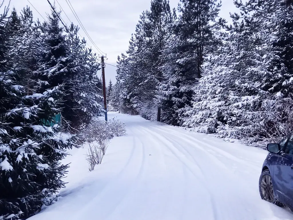 Продаю садовый участок в Шевелёво - Фото 12