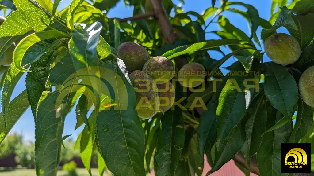 Продажа дома, Сенной, Темрюкский район - Фото 11