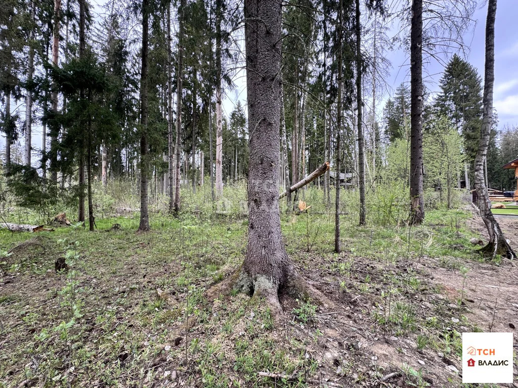 Продажа участка, Могильцы, Лотошинский район - Фото 2