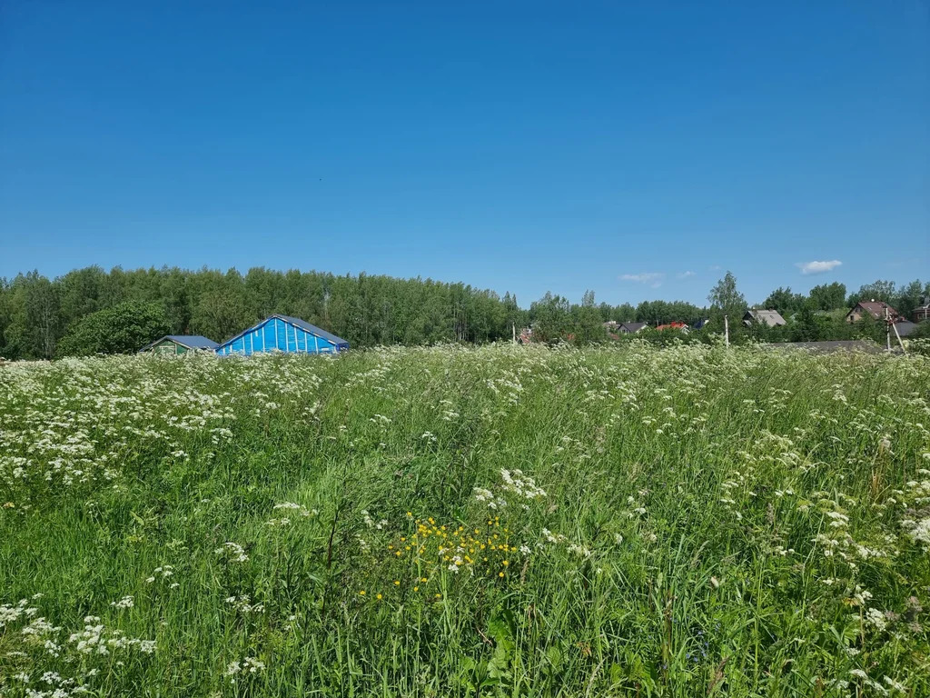 Продажа участка, Хязельки, Всеволожский район - Фото 14