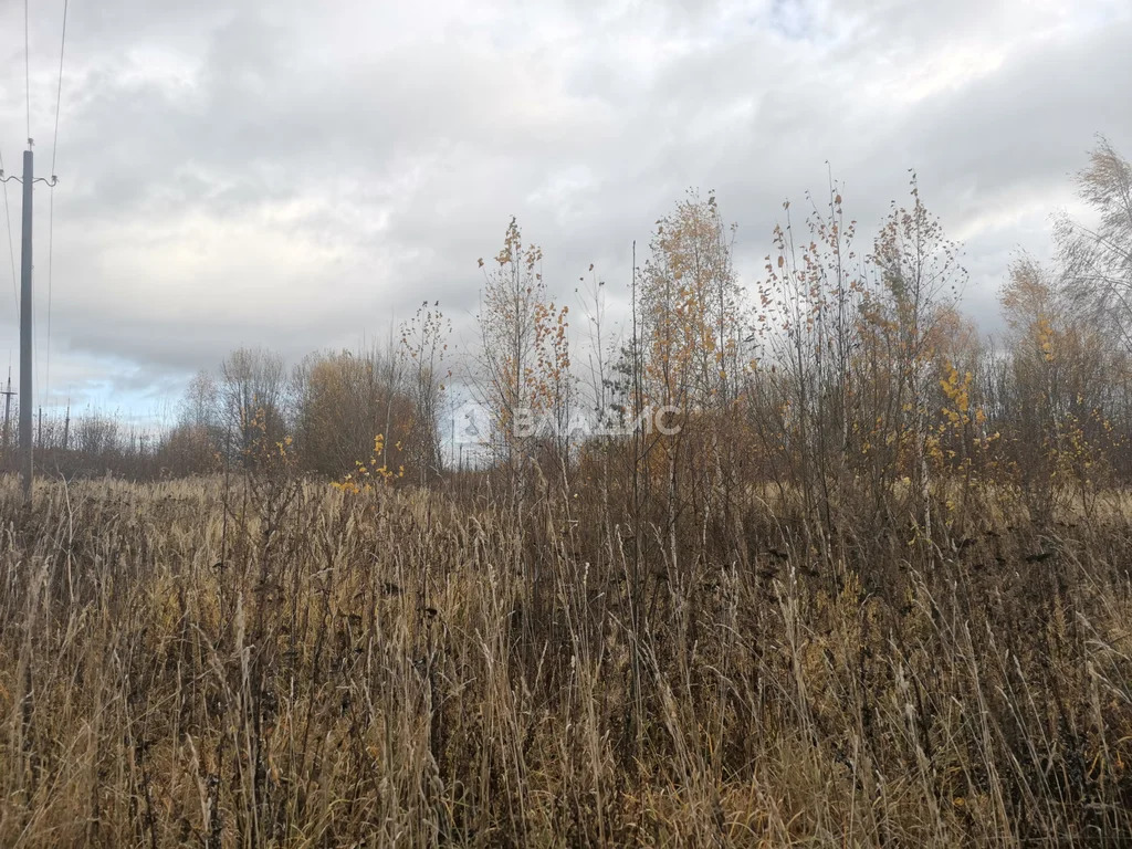 Суздальский район, село Новоалександрово,  земля на продажу - Фото 0