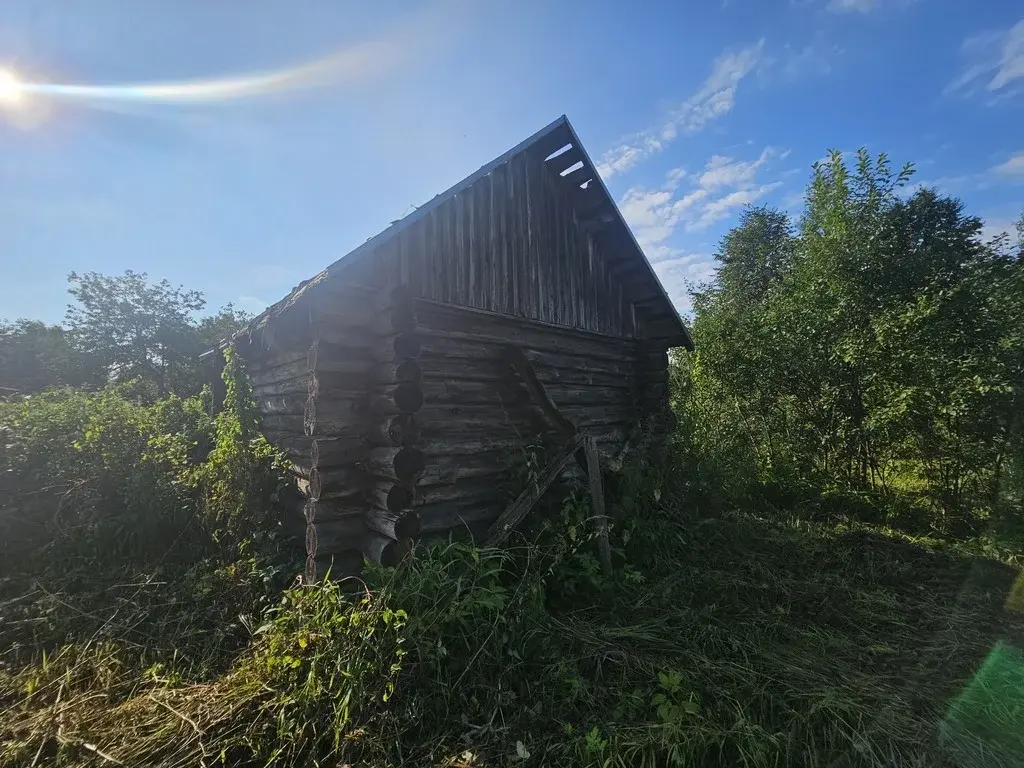 Дом не дорого в деревне - Фото 2