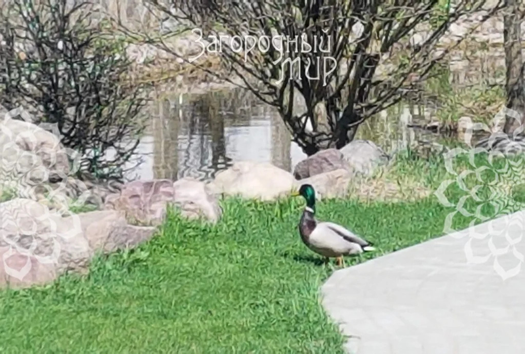 Продам дом, Дмитровское шоссе, 8 км от МКАД - Фото 24