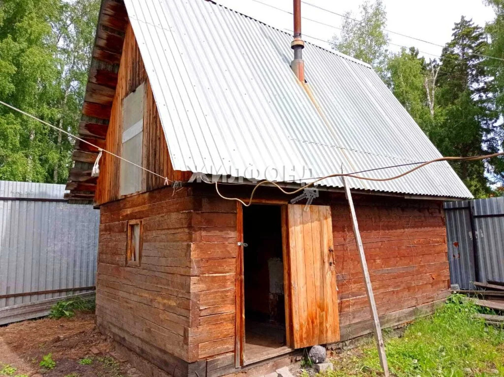 Продажа дома, Раздольное, Новосибирский район, Пруса - Фото 5