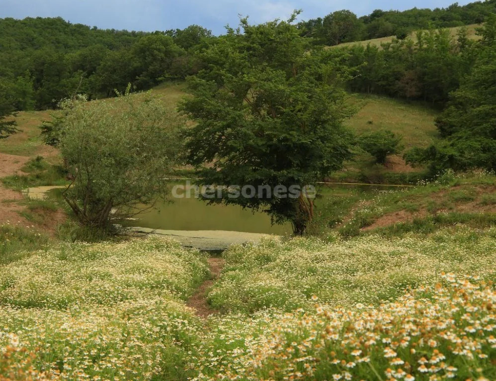Продажа участка, Солнечноселье, Бахчисарайский район, ул. Горная - Фото 2
