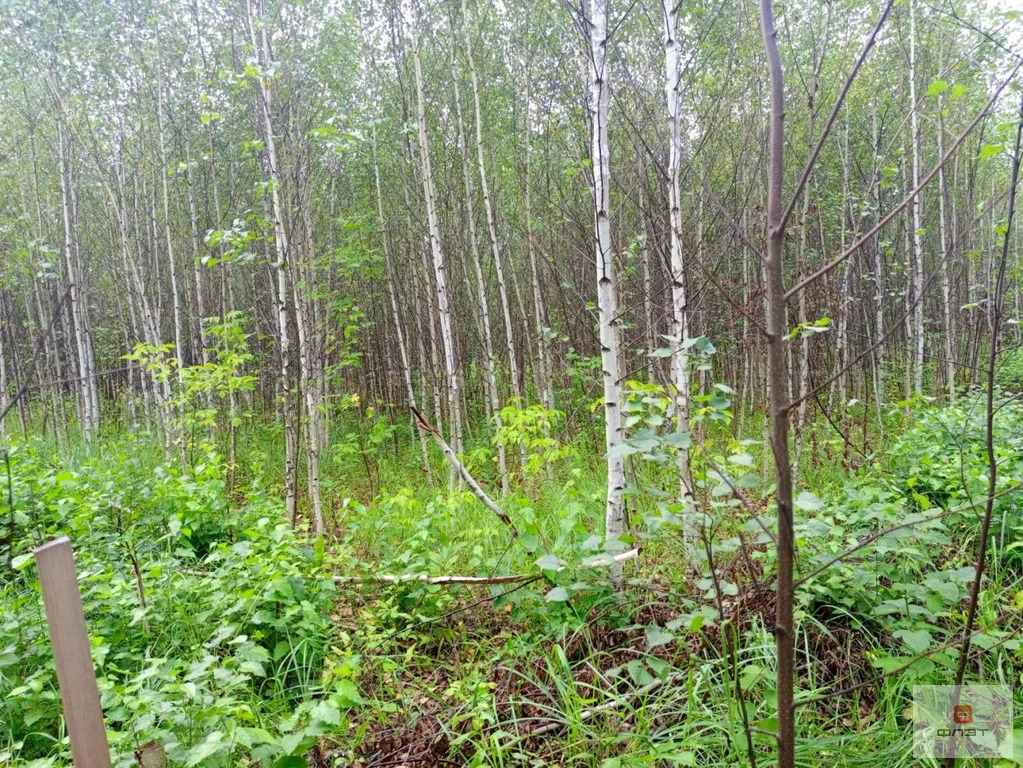 Продажа участка, Дачное, Высокогорский район, дом 13 - Фото 1