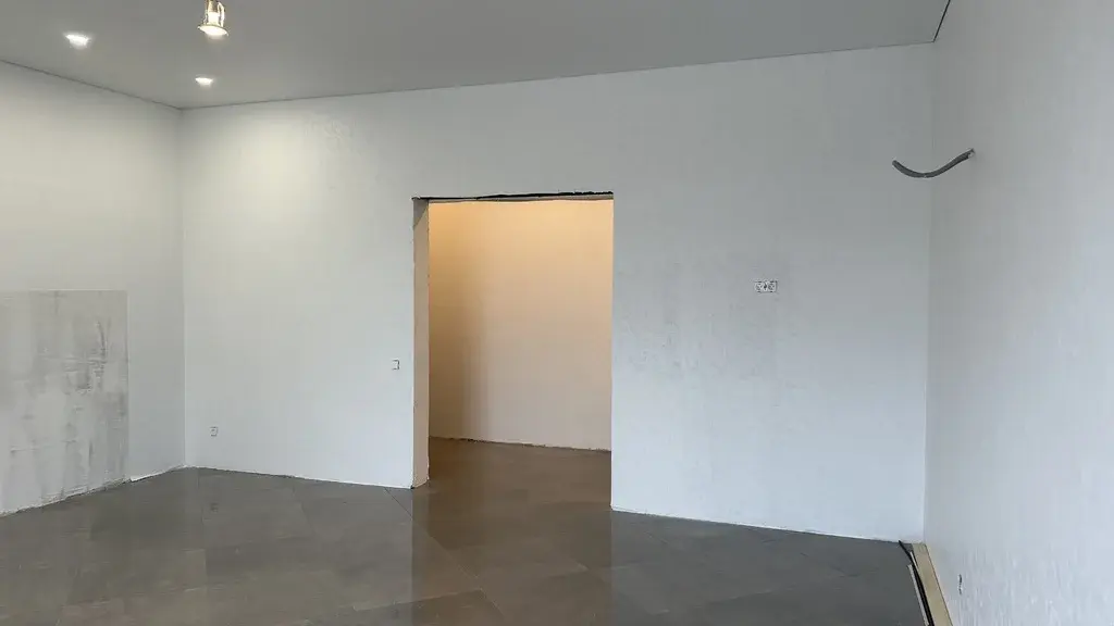 Дом Раменский район д. Пласкинино - Фото 19