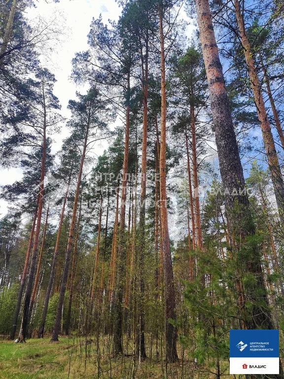Продажа дома, Криуша, Клепиковский район, ул. Новая - Фото 10