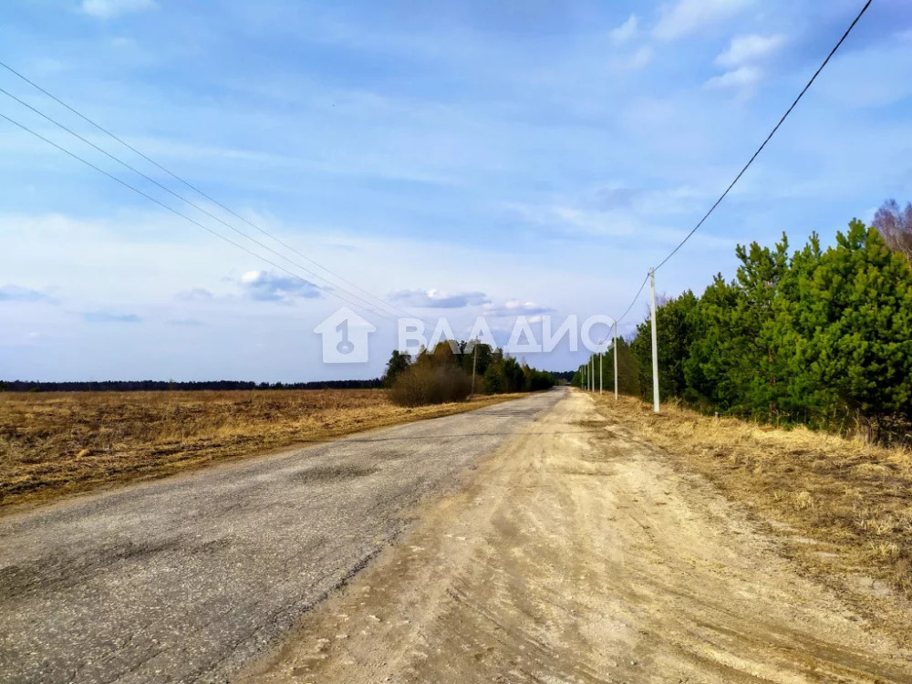 Судогодский район, деревня Суховка, земля на продажу - Фото 4