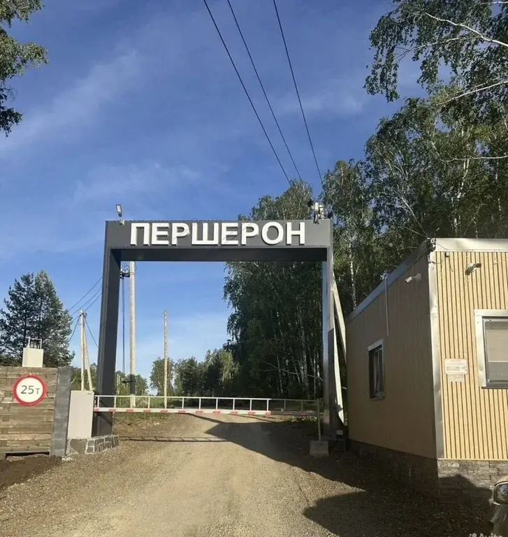 Земельный участок у леса - Фото 2