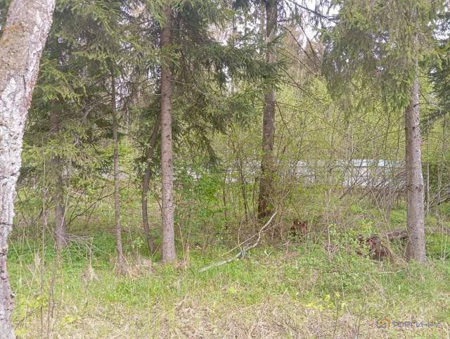 Продажа участка, Троица, Егорьевский район - Фото 6
